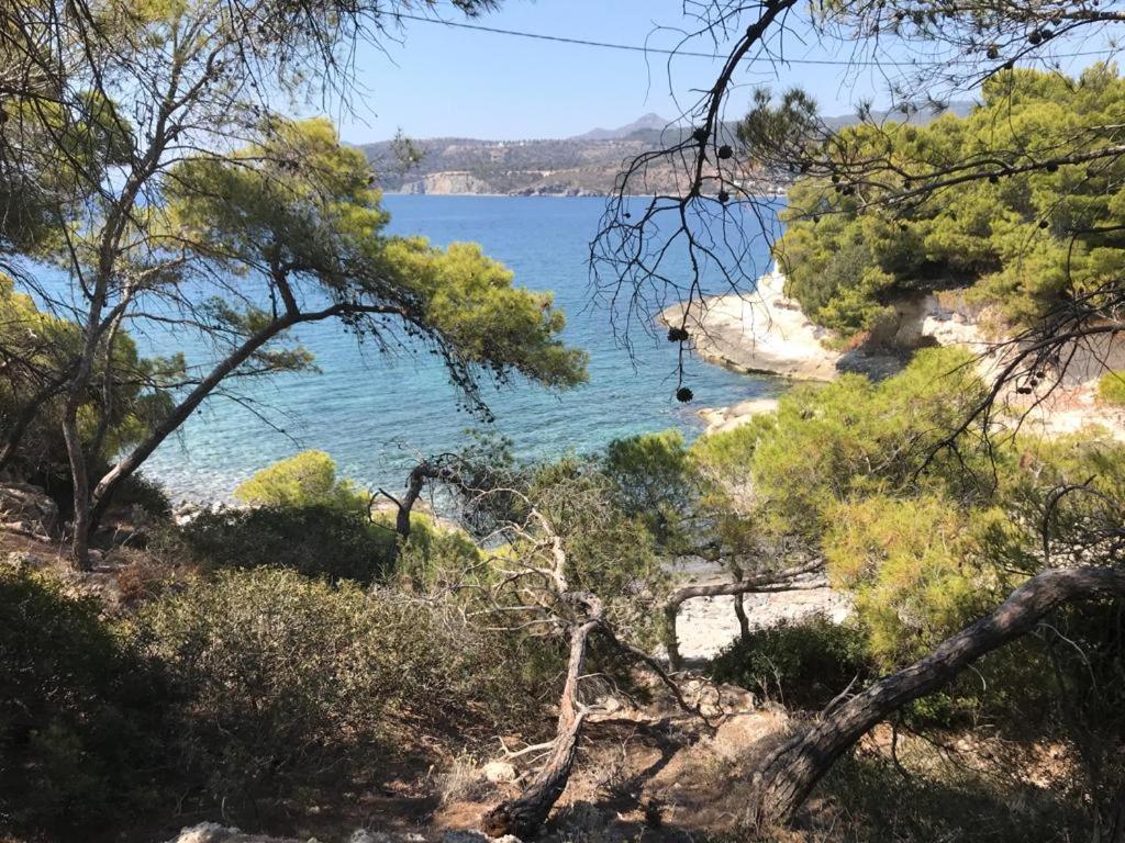 Vana Kavos Apartment Agia Marina  Luaran gambar